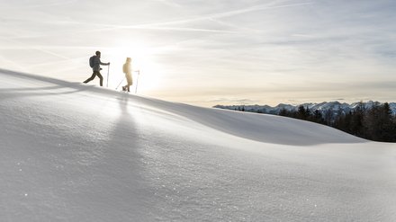 Vitalpina Hotel South Tyrol Vitalpina Hotel South Tyrol