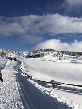 Galleria fotografica Tratterhof β Mountain Sky Hotel Galleria fotografica Tratterhof β Mountain Sky Hotel