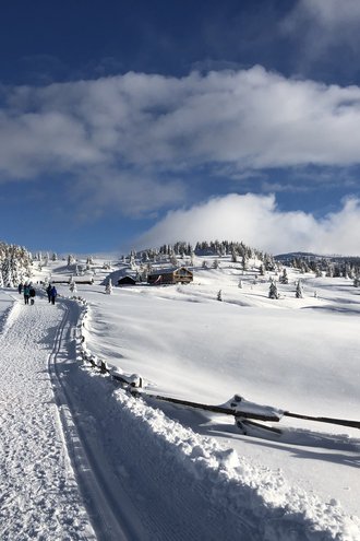 Tratterhof Bildergalerie – Mountain Sky Hotel Tratterhof Bildergalerie – Mountain Sky Hotel