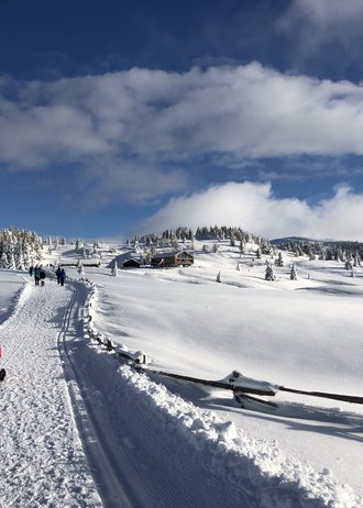 Tratterhof Bildergalerie – Mountain Sky Hotel Tratterhof Bildergalerie – Mountain Sky Hotel