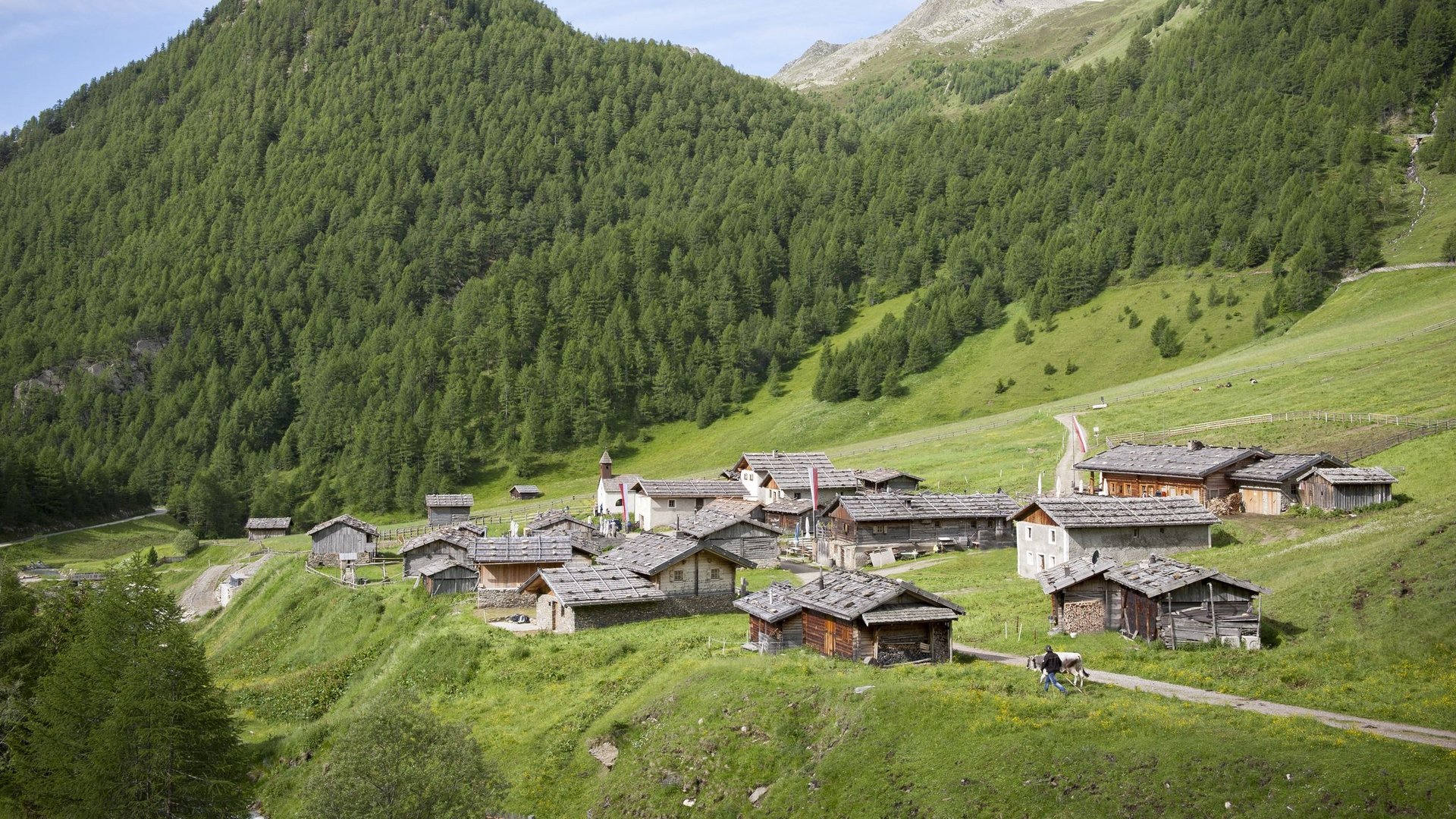 Vacanze al Tratterhof: Malga Fane