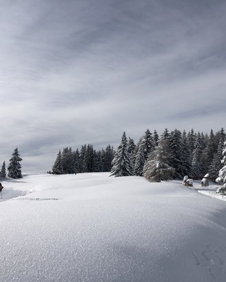 Tratterhof Bildergalerie – Mountain Sky Hotel Tratterhof Bildergalerie – Mountain Sky Hotel