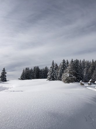 Tratterhof Bildergalerie – Mountain Sky Hotel Tratterhof Bildergalerie – Mountain Sky Hotel