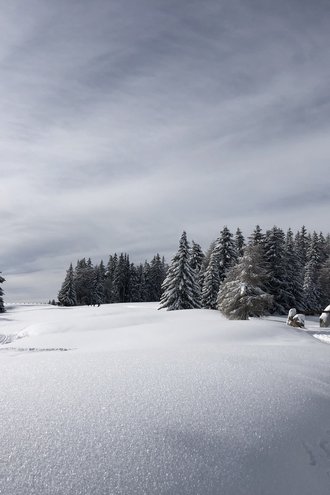 Galleria fotografica Tratterhof β Mountain Sky Hotel Galleria fotografica Tratterhof β Mountain Sky Hotel