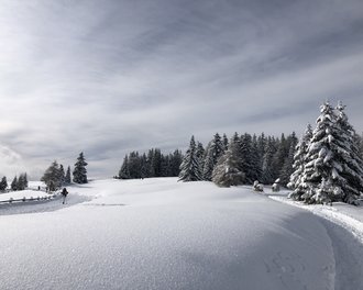 Tratterhof Mountain Sky Hotel: picture gallery Tratterhof Mountain Sky Hotel: picture gallery
