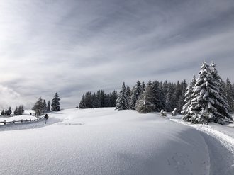 Tratterhof Bildergalerie – Mountain Sky Hotel Tratterhof Bildergalerie – Mountain Sky Hotel