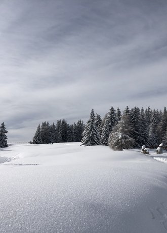 Tratterhof Bildergalerie – Mountain Sky Hotel Tratterhof Bildergalerie – Mountain Sky Hotel