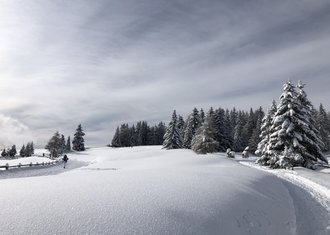 Galleria fotografica Tratterhof β Mountain Sky Hotel Galleria fotografica Tratterhof β Mountain Sky Hotel