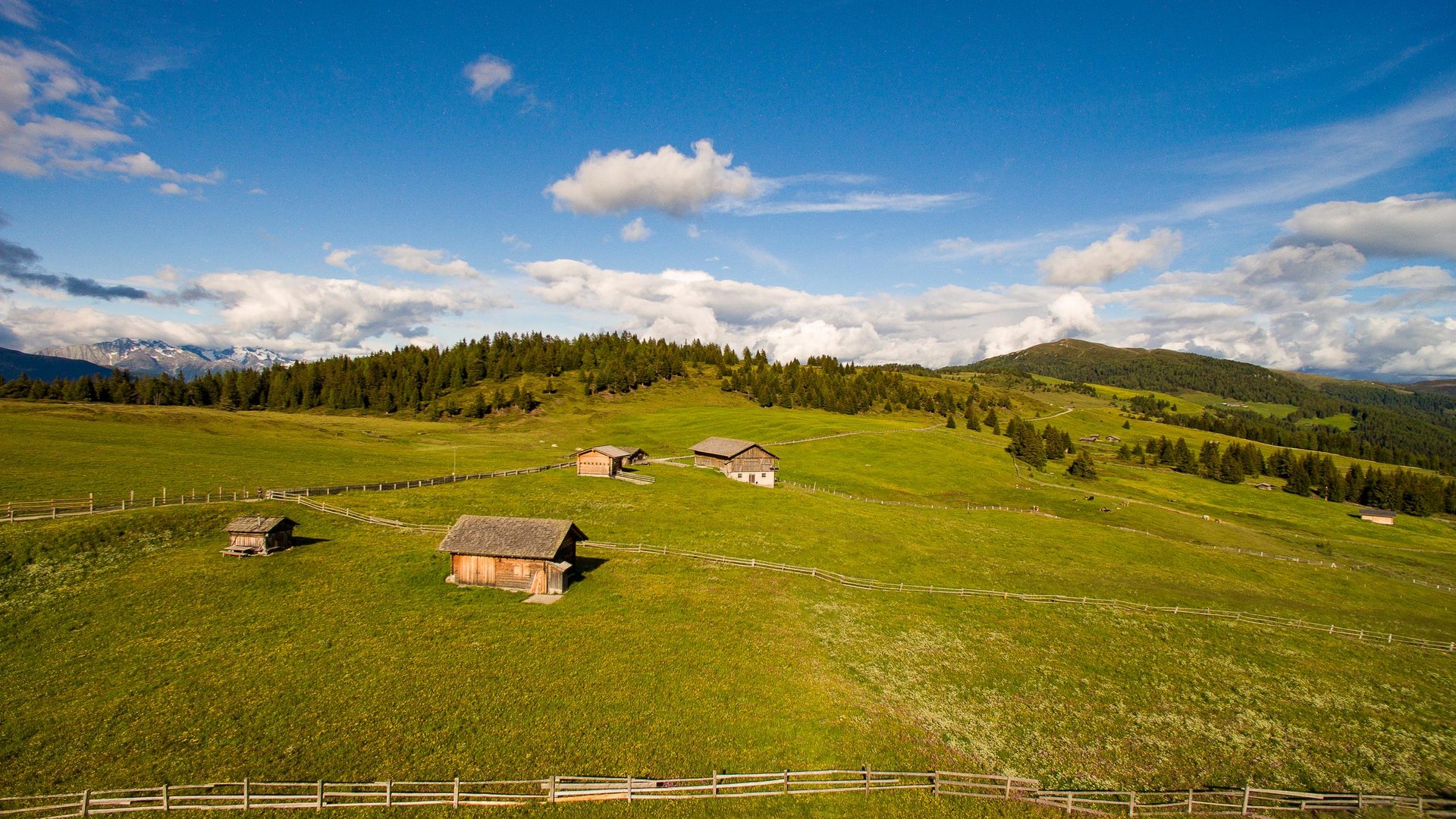Urlaub mit Hund Südtirol: Tratterhof Mountain Sky Hotel