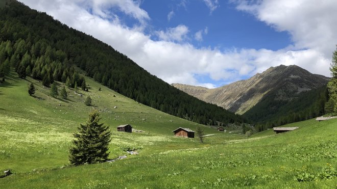 Berghotel Südtirol: Tratterhof in Meransen Berghotel Südtirol: Tratterhof in Meransen