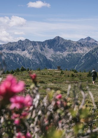 Galleria fotografica Tratterhof β Mountain Sky Hotel Galleria fotografica Tratterhof β Mountain Sky Hotel