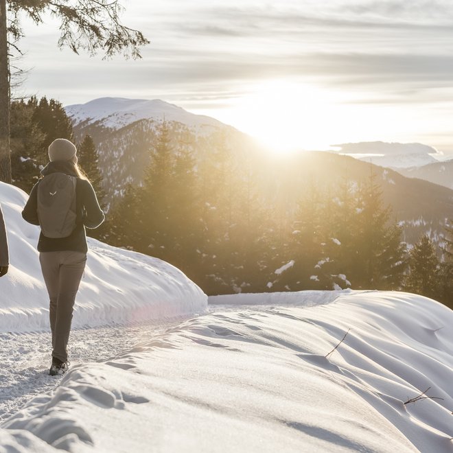 Winterwandern Winterwandern
