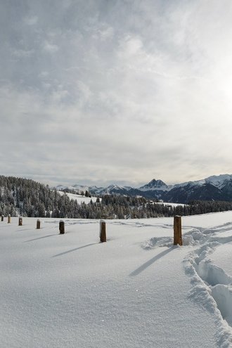 Tratterhof Bildergalerie – Mountain Sky Hotel Tratterhof Bildergalerie – Mountain Sky Hotel