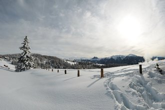 Tratterhof Bildergalerie – Mountain Sky Hotel Tratterhof Bildergalerie – Mountain Sky Hotel