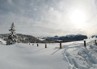 Tratterhof Mountain Sky Hotel: picture gallery Tratterhof Mountain Sky Hotel: picture gallery