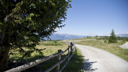 Ihr Mountainbike-Hotel in Südtirol Ihr Mountainbike-Hotel in Südtirol