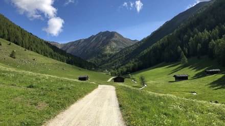 Sentiero sterrato in Alto Adige Sentiero sterrato che attraversa un paesaggio montano verde, circondato da boschi e baite.
