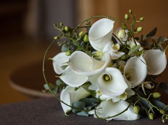 Just married Just married