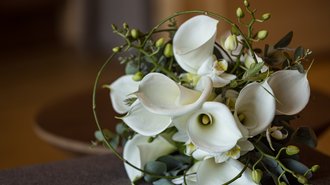 Frisch verheiratet Frisch verheiratet