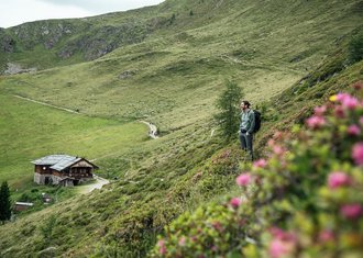 Tratterhof Bildergalerie – Mountain Sky Hotel Tratterhof Bildergalerie – Mountain Sky Hotel