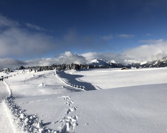 Tratterhof Bildergalerie – Mountain Sky Hotel Tratterhof Bildergalerie – Mountain Sky Hotel