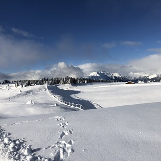 Galleria fotografica Tratterhof β Mountain Sky Hotel Galleria fotografica Tratterhof β Mountain Sky Hotel